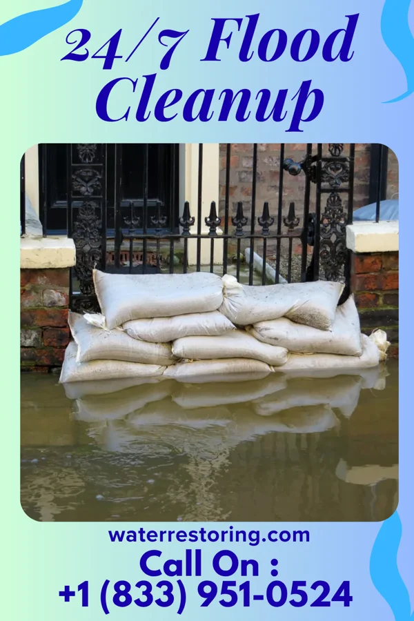 24/7 Flood Cleanup in Weingarten, MO