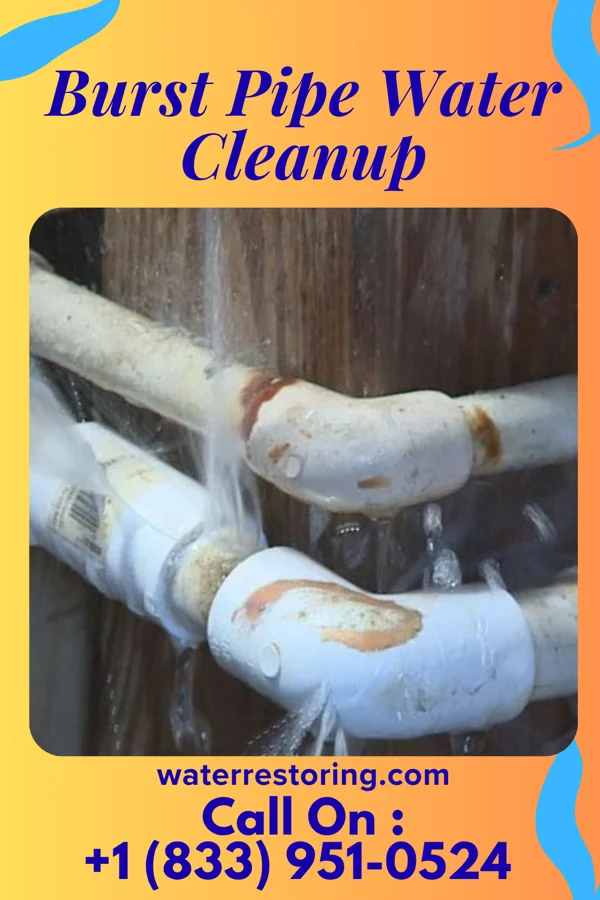 Burst Pipe Water Cleanup in Weingarten, MO