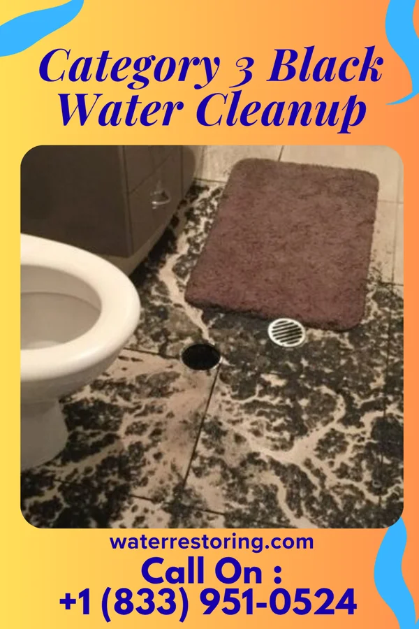 Category 3 Black Water Cleanup in Weingarten, MO