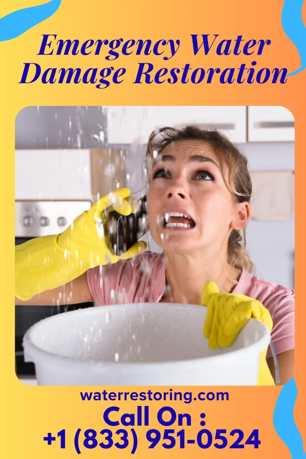 Emergency Water Damage Restoration in Weingarten, MO