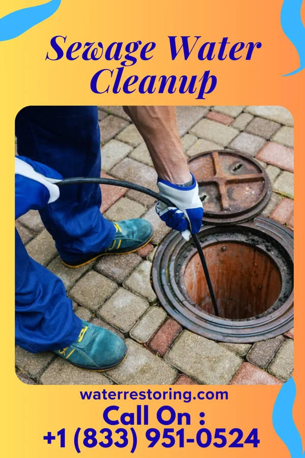 Sewage Water Cleanup in Weingarten, MO