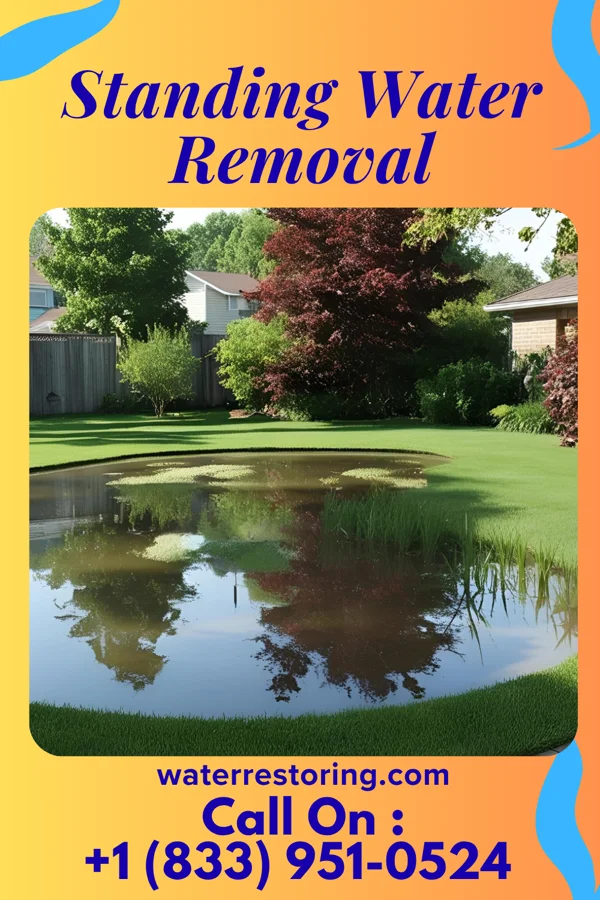 Standing Water Removal in Weingarten, MO